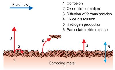 Flow Accelerated Corrosion