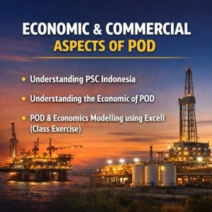 Economics Commercial of POD